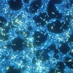 Biofilms bacterianos: ¿por qué deberían importarnos?