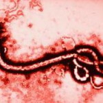Comentarios virus-lentos (14): Infección por Ébola en España