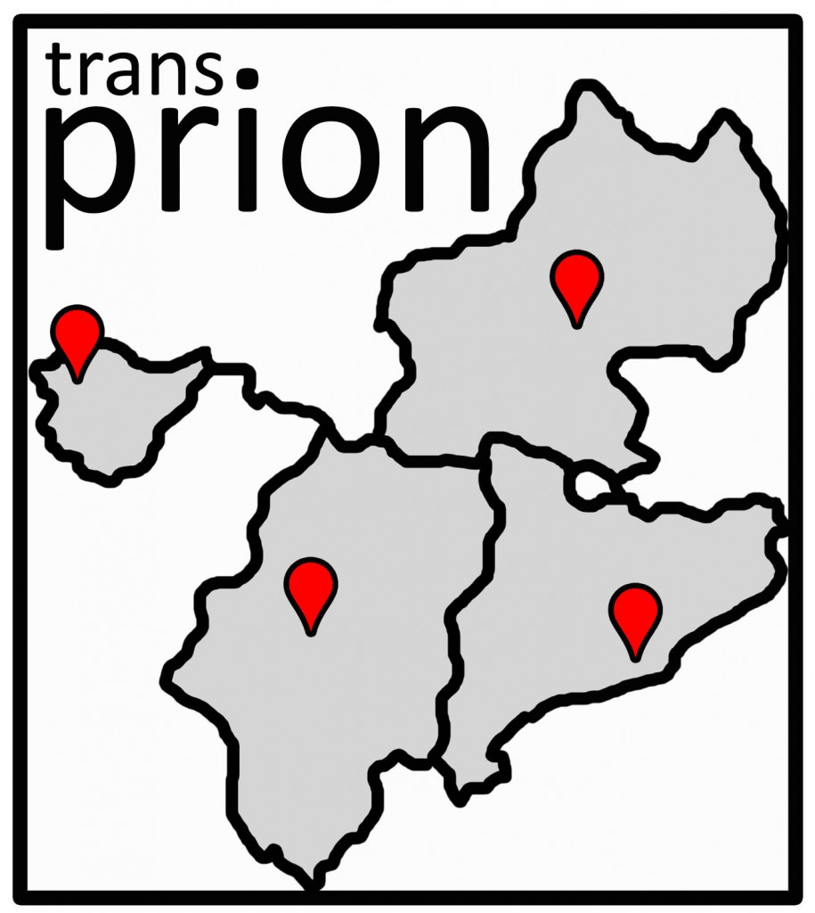 Logo Transprion 1