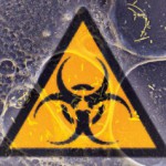 Viral comments (17): Biosafety in Europe; harmonizing and leaving a Catalonian mark