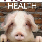 Pig health: Promoting health rather than treating disease