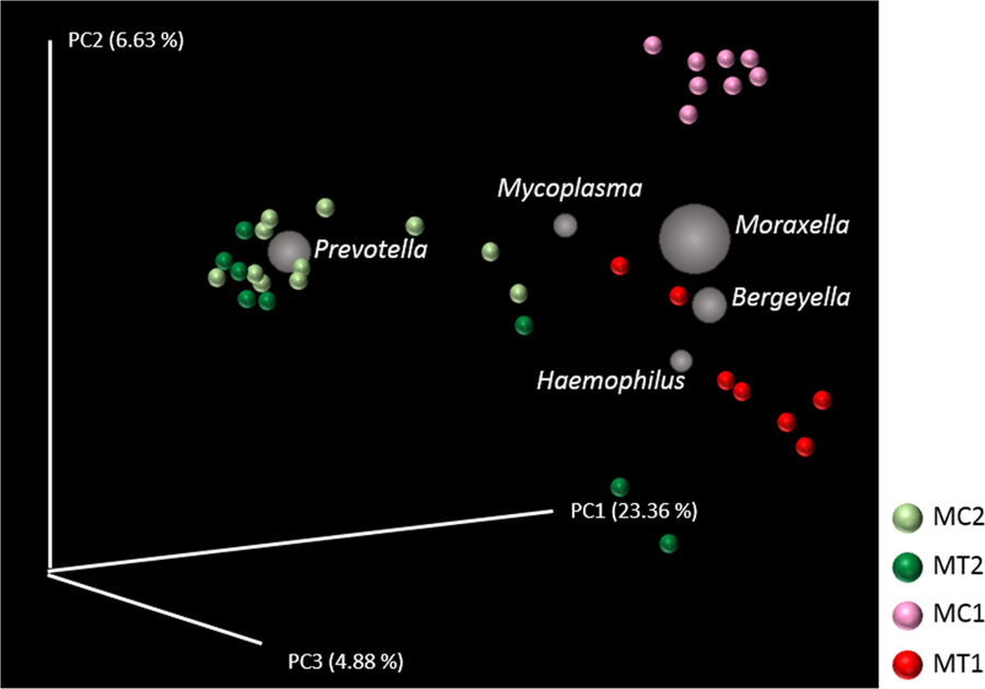 Principal Component Plots (jackknifed) representing beta diversity on rarefied samples.