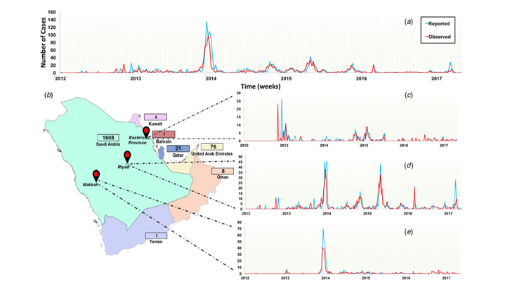 Epidemic curve of observed and reported human cases of Middle Eastern respiratory syndrome coronavirus (MERS-CoV) in the Arabian Peninsula aggregated by week from June 2012 to July 2017.