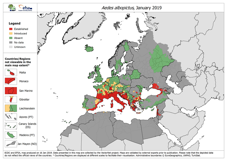 Mapa de la distribución del mosquito tigre en Europa. Fuente: ECDC.