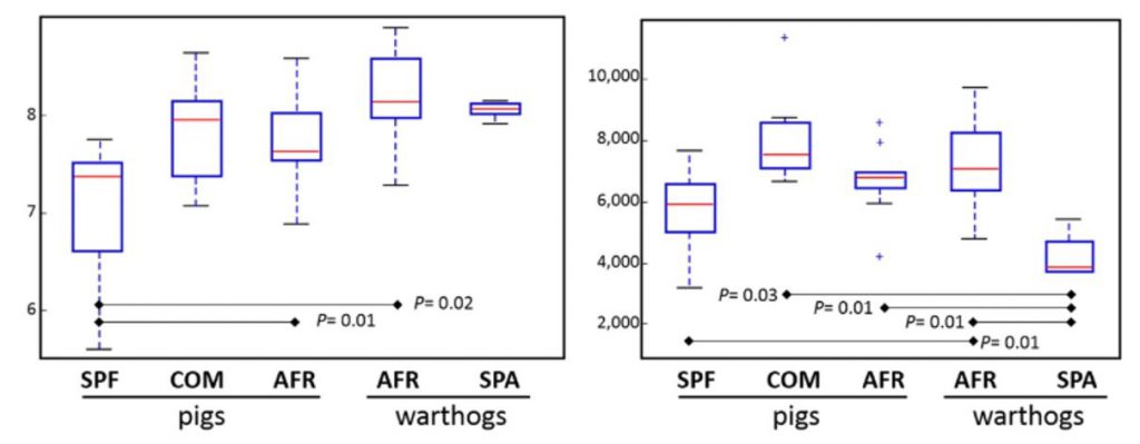 Left: richness (Chao1 index); right: diversity (Shannon index).