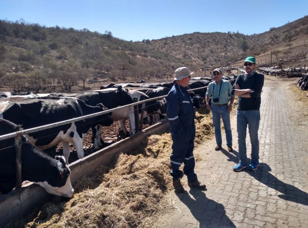 Visita a les granges. Autor: IRTA-CReSA 