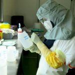 Un paso adelante hacia una vacuna del nuevo coronavirus