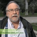 The Spanish TV talks about the “MIXOlepus” project