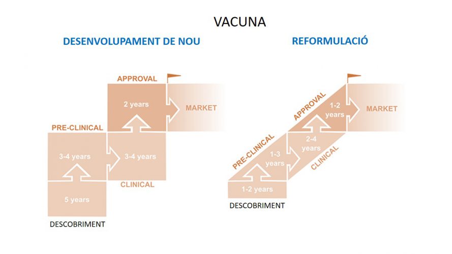 Figure 3. Different phases of a vaccine development.