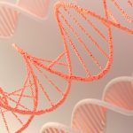 Antimicrobial Resistance Awareness Week 2024 / V – Animal Breeding and Genetics