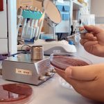 Antimicrobial Resistance Awareness Week 2024 / VIII – Campylobacter