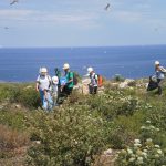 Antimicrobial Resistance Awareness Week 2024 / VII – Wildlife