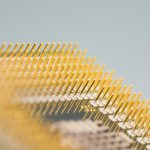 Semana Resistencias Antimicrobianas 2024 / IV – Chip de Diagnóstico